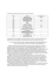 Įmonės finansinė analizė: UAB "Svenora" 7 puslapis