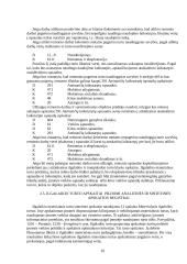 Įmonės finansinė analizė: UAB "Svenora" 10 puslapis