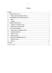 Kultūriniai imperatyvai Danijoje 2 puslapis