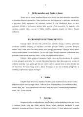 Kultūriniai imperatyvai Danijoje 5 puslapis