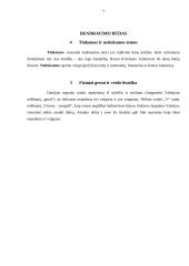 Kultūriniai imperatyvai Danijoje 7 puslapis