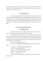 Kultūriniai imperatyvai Danijoje 9 puslapis