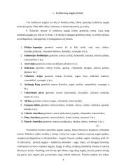 Kultūrinių augalų bendrijos 2 puslapis