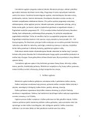 Mokytojo darbo samprata 5 puslapis