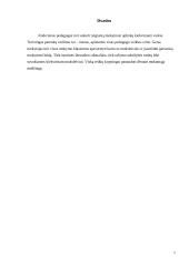 Mokytojo darbo samprata 7 puslapis