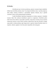 Kūrybiškumo samprata 7 puslapis