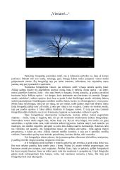 Nuotraukų analizė: "Vasara kaime", Gargždų šv. Arkangelo Mykolo bažnyčia" ir "Vienatvė" 3 puslapis