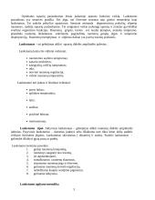 Lankstumas ir jo lavinimas 3 puslapis