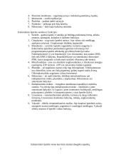 Prokariotinės ir eukariotinės ląstelės 3 puslapis