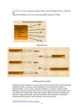 Prokariotinės ir eukariotinės ląstelės 6 puslapis
