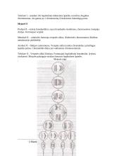 Prokariotinės ir eukariotinės ląstelės 9 puslapis