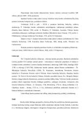 Piterio Paulio Rubenso paveikslo „Nuėmimas nuo kryžiaus“ analizė 5 puslapis