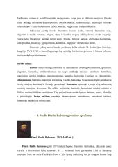 Piterio Paulio Rubenso paveikslo „Nuėmimas nuo kryžiaus“ analizė 7 puslapis