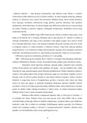 Piterio Paulio Rubenso paveikslo „Nuėmimas nuo kryžiaus“ analizė 8 puslapis