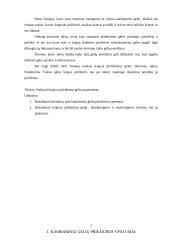 Lengvai prižiūrimos kambarinės gėlės 3 puslapis