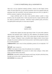 Lengvai prižiūrimos kambarinės gėlės 6 puslapis