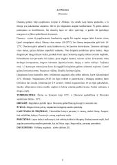 Lengvai prižiūrimos kambarinės gėlės 7 puslapis