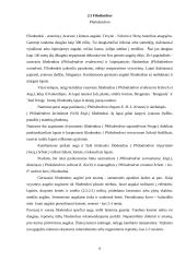 Lengvai prižiūrimos kambarinės gėlės 10 puslapis