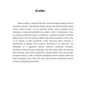 Politinių straipsnių analizė 3 puslapis