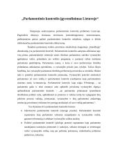 Politinių straipsnių analizė 6 puslapis