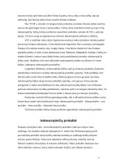 Lietuvių kalbos kilmė 3 puslapis