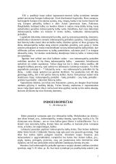 Lietuvių kalbos kilmė ir kilmės teorijos 2 puslapis