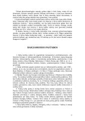 Lietuvių kalbos kilmė ir kilmės teorijos 12 puslapis