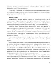 Lietuvoje augantys grybai 4 puslapis