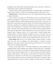 Lietuvoje augantys grybai 9 puslapis