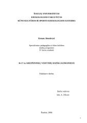 16-17 metų krepšininkų vertybių raiška komandoje