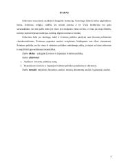 Lietuvos ir Japonijos švietimo politikos lyginamoji analizė 3 puslapis