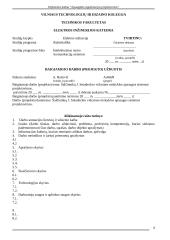 Apsaugos sistemos projektavimas: Šalčininkų vidurinė mokykla 2 puslapis