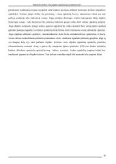 Apsaugos sistemos projektavimas: Šalčininkų vidurinė mokykla 16 puslapis