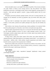 Apsaugos sistemos projektavimas: Šalčininkų vidurinė mokykla 5 puslapis