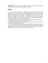 Lietuvos krepšinis 2 puslapis