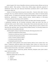 Apskaitos informacijos panaudojimas komercinių įmonių pelningumui didinti 11 puslapis