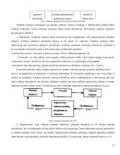 Apskaitos informacijos panaudojimas komercinių įmonių pelningumui didinti 16 puslapis