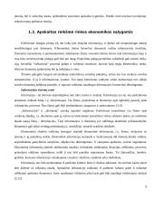 Apskaitos informacijos panaudojimas komercinių įmonių pelningumui didinti 8 puslapis