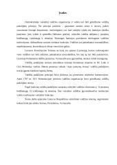 Lietuvos Respublikos (LR) valdžios sistema 2 puslapis