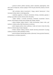 Lietuvos Respublikos (LR) valdžios sistema 13 puslapis