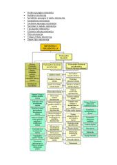 Lietuvos Respublikos (LR) valdžios sistema 10 puslapis