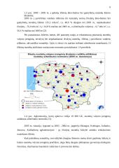 Buitinių-higieninių sąlygų gerinimas, aplinkos taršos mažinimas: Gudelių gyvenvietė 4 puslapis