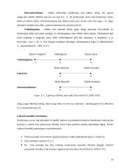 Darbuotojų motyvacijos skatinimo galimybės: UAB "Transcom worldwide Vilnius" 14 puslapis