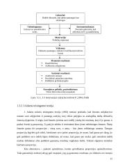 Darbuotojų motyvacijos skatinimo galimybės: UAB "Transcom worldwide Vilnius" 15 puslapis