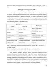 Darbuotojų motyvacijos skatinimo galimybės: UAB "Transcom worldwide Vilnius" 20 puslapis