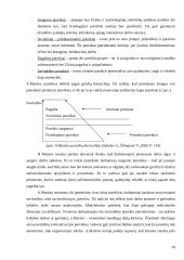 Darbuotojų motyvacijos skatinimo galimybės: UAB "Transcom worldwide Vilnius" 10 puslapis