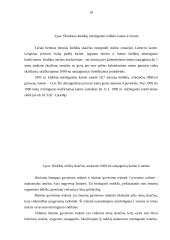 Demografinių procesų pokyčiai Lietuvoje 18 puslapis