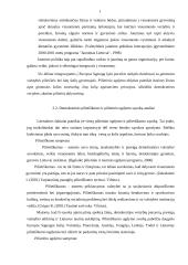 Demokratinio pilietiškumo ugdymas mokykloje: būklė ir tobulinimo kryptys 17 puslapis