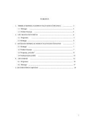 Lietuvos televizija po Nepriklausomybės atgavimo 2 puslapis