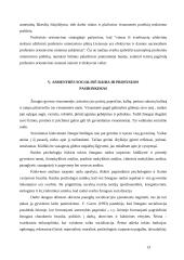 Dešimtų klasių gimnazistų ir moksleivių profesinį orientavimą ir apsisprendimą įtakojančių veiksnių analizė 13 puslapis